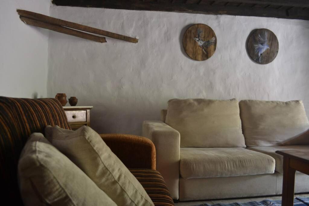 Casa Rural Lomito Del Pino Tejeda  Eksteriør billede