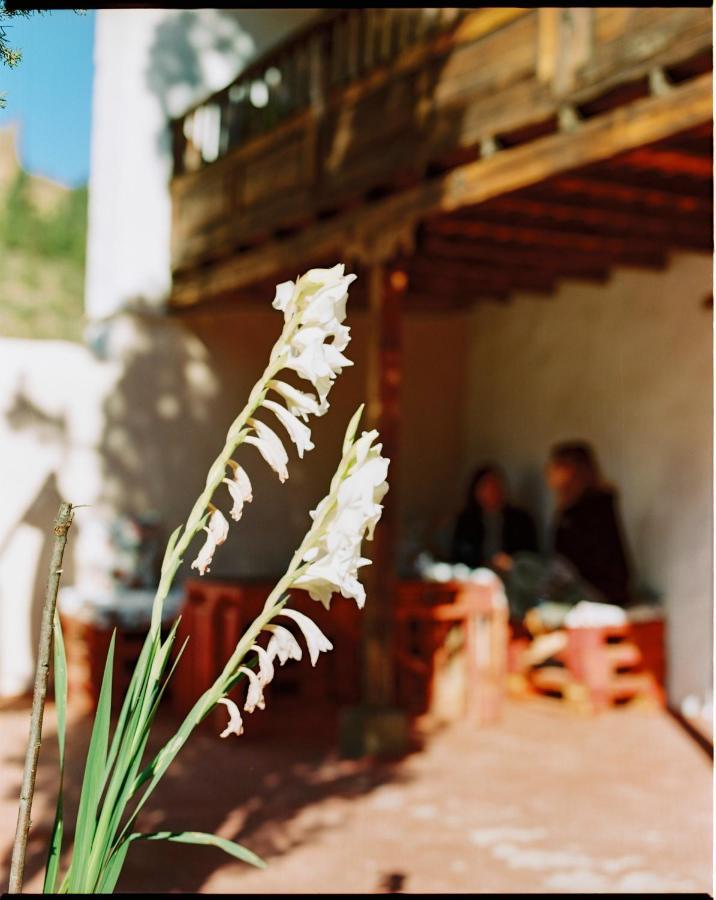 Casa Rural Lomito Del Pino Tejeda  Eksteriør billede